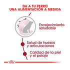 Royal Canin Medium 10+ Ageing pienso para perros, , large image number null